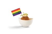 Regenbogenfahnen aus FSC-Holz - 500 Stk./Pkg.