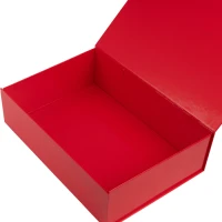 Glänzende laminierte Magnetboxen - Rot 35 x 25 x 10 cm - 25 Stück