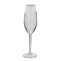 Wiederverwendbares Champagnerglas 15cl - 24 Stk/Pck