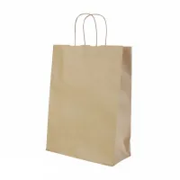 Papiertasche - 250 + 120 x 350 mm - Braun - Gedrehter Griff - 300 Stk/Karton
