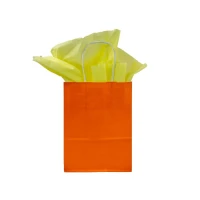 Papiertüte mit gedrehtem Griff 190 + 80 x 220 mm orange – 250 St./Pack.
