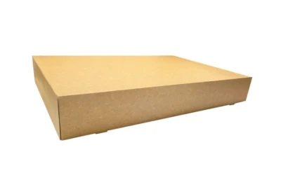 Cateringbox Groß - Karton 55,7x37,6x8 cm - 40 Stk./Karton