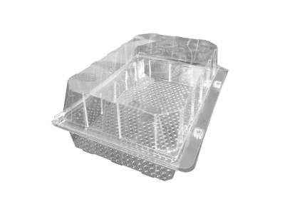 Blister für Gebäck/Brötchen APET 23,5x16,5x8,6cm - 300 St./Karton