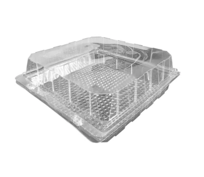 Blisterverpackung für Gebäck/Brötchen APET 20x19,2x6,5cm - 300 Stk./Karton